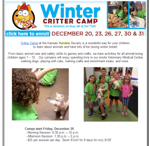 critter camp