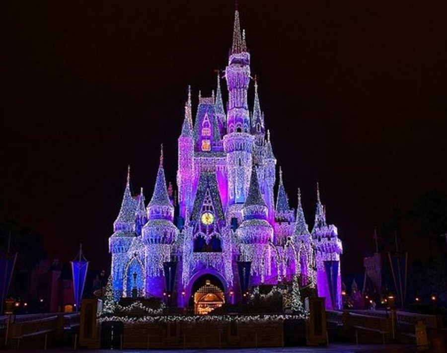 CASTLE DISNEY WORLD