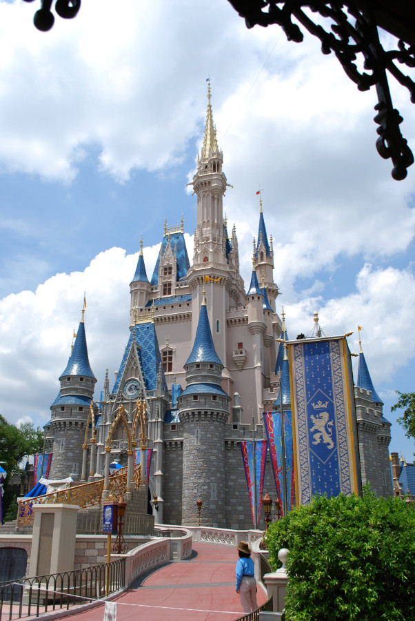 DISNEY PRINCESS CASTLE