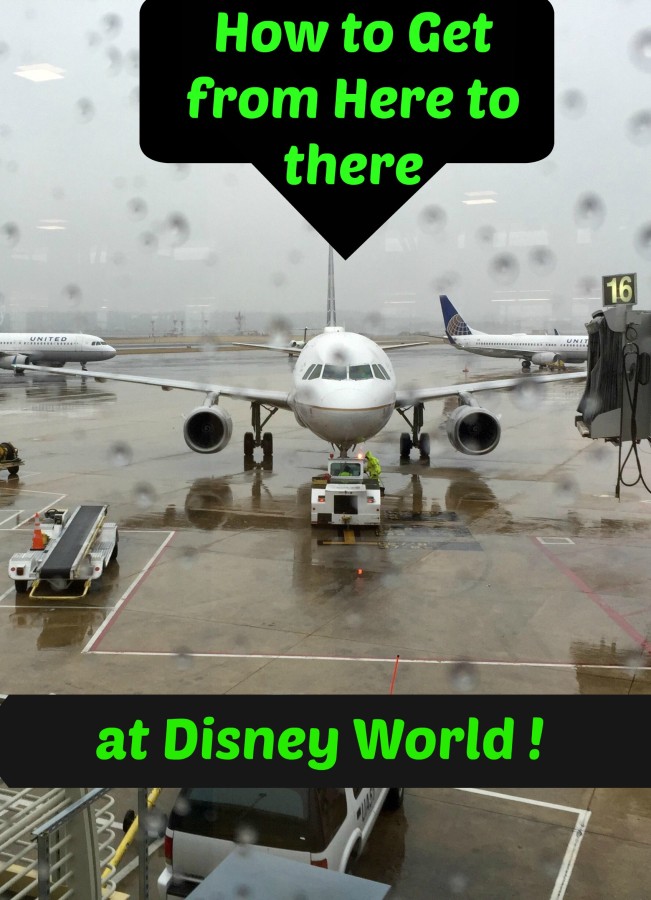 disney world travel