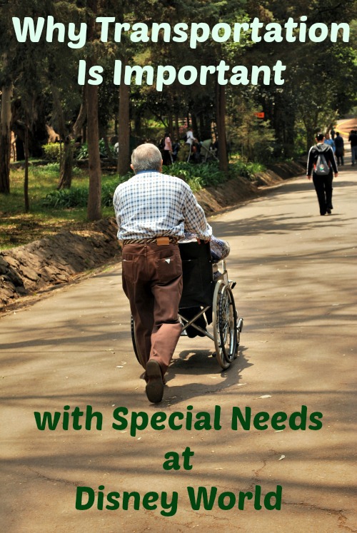 transportation with special needs