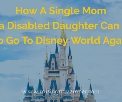 single mom can afford disney vacation