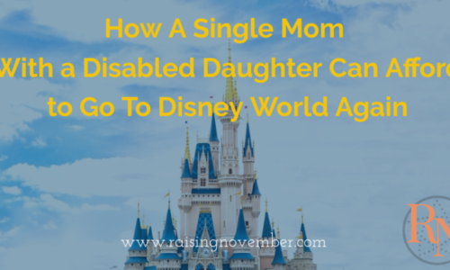 single mom can afford disney vacation